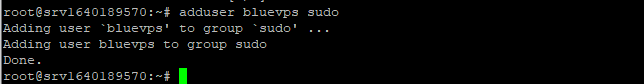 virtualmin unter ubuntu installieren