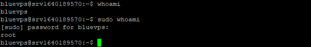virtualmin unter ubuntu installieren